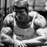 Roberts Andins